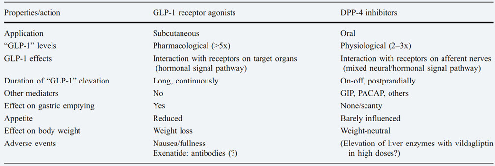 GLP-1RDPP-4Ƽ.jpg
